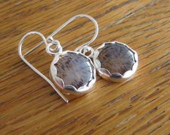 Montana Agate Earrings in Sterling Silver