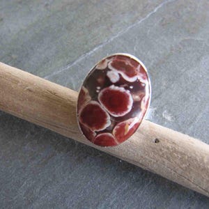 Puede incluir: Anillo ovalado con una banda plateada. El anillo presenta una piedra con un patrón de manchas rojas y blancas sobre un fondo marrón oscuro. El anillo se exhibe sobre un palo de madera.