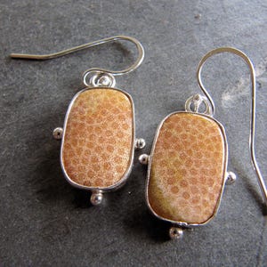 Fossile Korallen und Sterling Silber Ohrringe