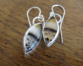 Montana Agate Earrings in Sterling Silver