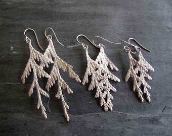 Cedar Earrings Hand Cast in Sterling Silver