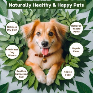 May include: A happy dog surrounded by green leaves with text bubbles describing the benefits of a product. The text bubbles say "Relieves Dry Skin", "Eliminates Dog Worms", "Soothes Sunburned Skin", "Repels Bugs", "Relieves Yeasty Paws", and "Repels Fleas".