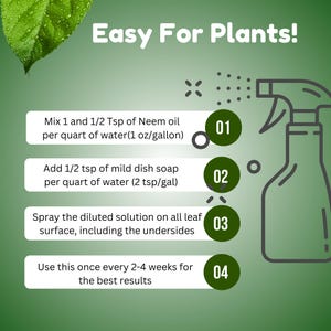 May include: A green and white illustrated guide with four steps for using neem oil to protect plants. The steps are numbered 1 through 4. The illustration shows a spray bottle with a green cap and a white body.