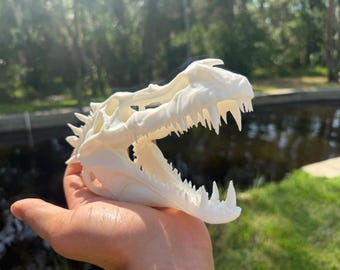 大型角竜の頭蓋骨レプリカ（ドラコ・イグニス）