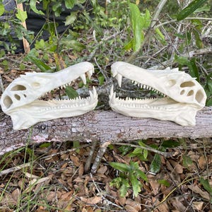 Leviathan Skull Gargantuan Fossil -Subnautica inspired-