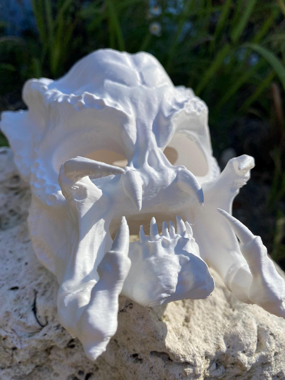 Replica Horse Skull - Etsy