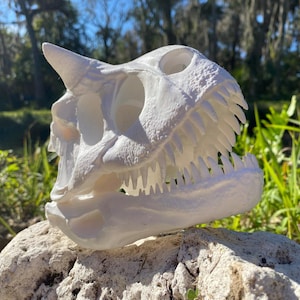 Könnte beinhalten: Eine detaillierte, weiße Dinosaurierschädel-Replik mit einem markanten Horn und scharfen Zähnen. Der Schädel liegt auf einem strukturierten Felsen, mit einem natürlichen grünen Hintergrund aus Gras und Bäumen. Dieses dekorative Stück ist ideal für Sammler oder als einzigartiges Wohnaccessoire.