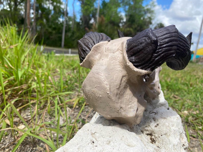 Deathclaw Skull Fallout (thanatonyx Trioceros) - Etsy