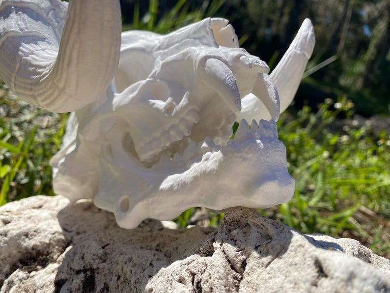 Deathclaw Skull Fallout (thanatonyx Trioceros) - Etsy