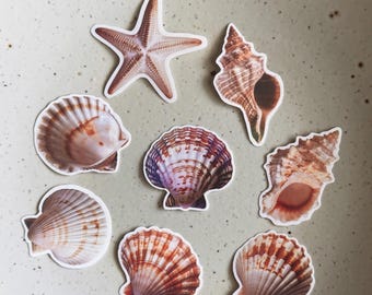 Beach Aesthetic Vinyl Sticker, Cute Ocean Shell or Starfish Decal, Waterproof Seashell Sticker for Laptop, Journal, Scrapbook, Water Bottle
