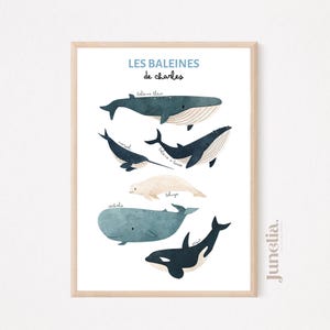 Affiche "Les Baleines de ...", affiche personnalisée, affiche éducative, décor de salle de jeux, apprentissage, baleines