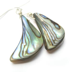 May include: A pair of silver dangle earrings with iridescent abalone shell pendants. The shell has a pearlescent blue, green, and brown color.