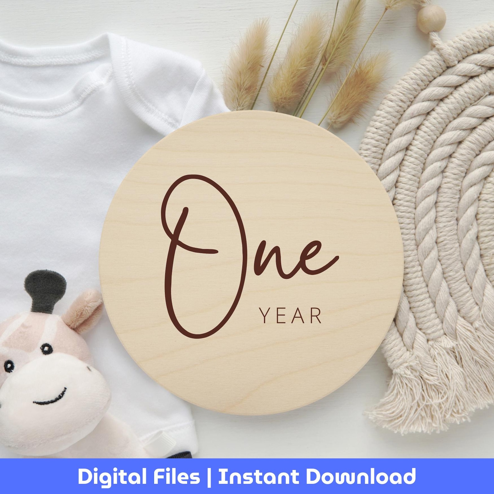 Baby Milestone Rounds SVG Bundle: Monthly Photo Props (digital Download ...