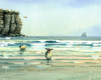Tombstoning  cliff diving sheep signed print from a watercolour by Mark Denman
