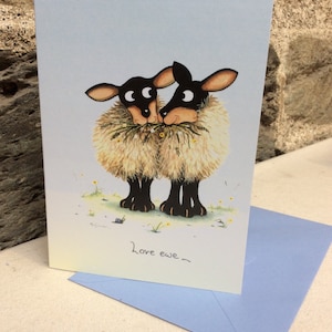 Carte de voeux love brebis mouton de l'artiste britannique Mark Denman. Peut être personnalisé.