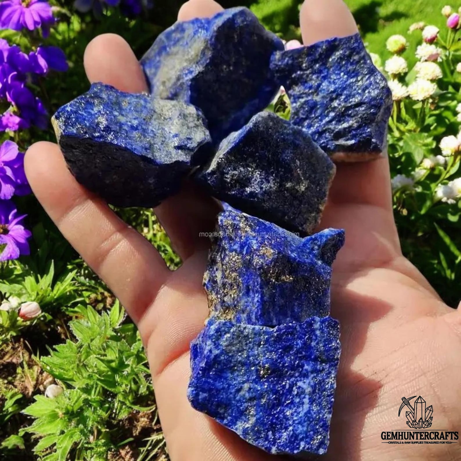 Raw lapis lazuli stones with deep blue and gold flecks, held in a hand over a garden background.