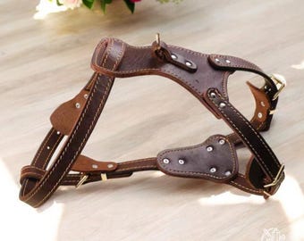 Personalized Full Grain Leather Dog Harness: Handmade Heavy-Duty Pet Gift