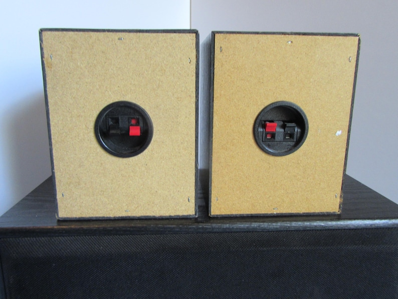 May include: Two rectangular speakers with black frames and tan backs. Each speaker has a black circular connector with red and black terminals. The speakers are positioned on top of a black speaker cabinet.