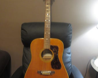 Rare Vintage Marlin M 450 Acoustic Guitar with hard case