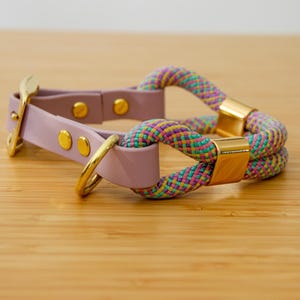 Waterproof biothane dog collar Purple