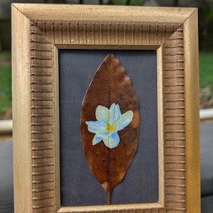 Magnolia Bloom