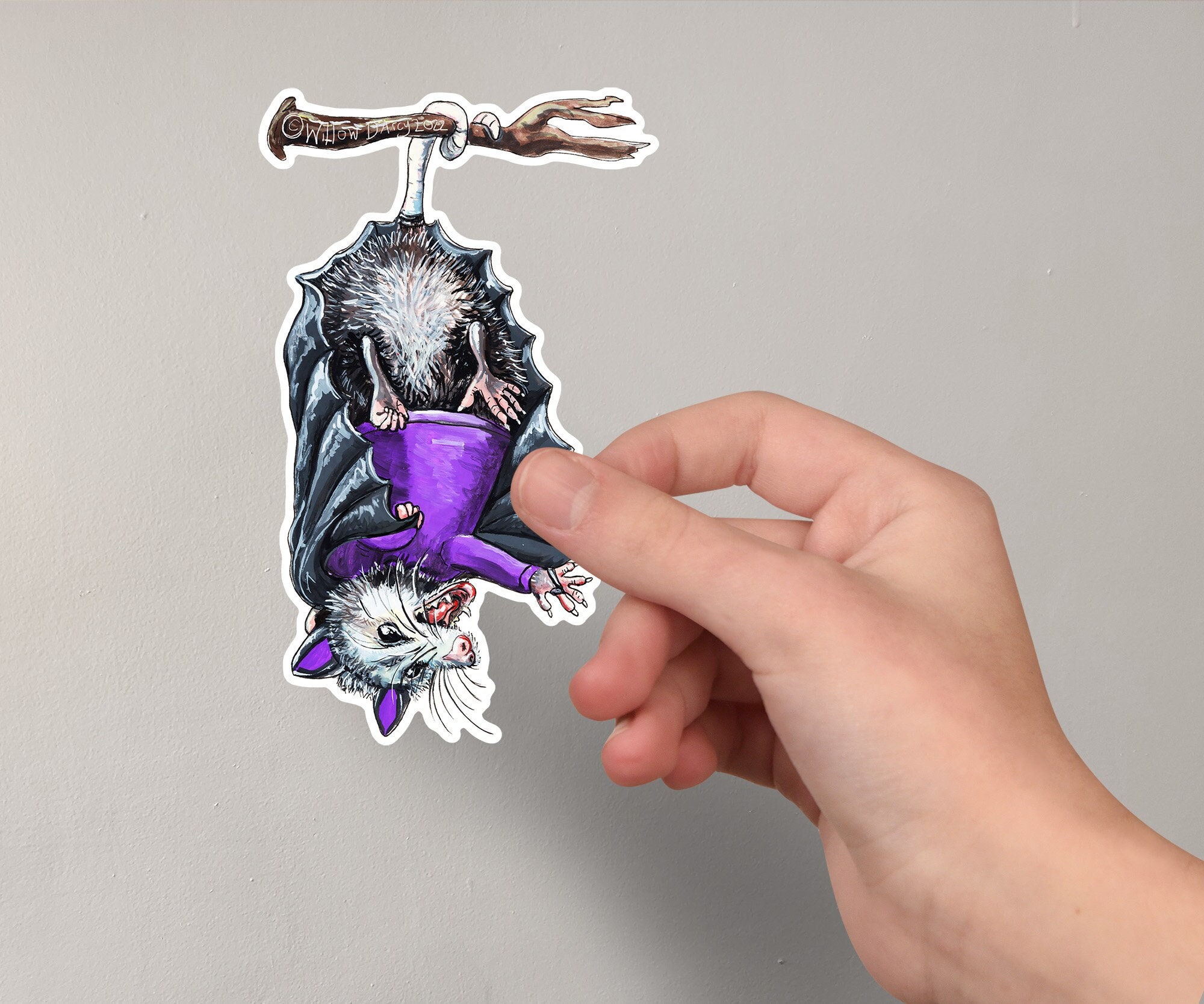 Opossum Hanging Upside Down