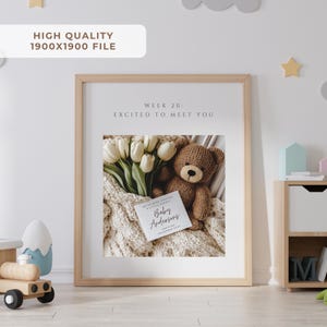 May include: A framed print with a light wood frame. Inside the frame is a photo of a teddy bear, white tulips, and a card that reads "Baby Andersons". The text "Week 20: Excited to Meet You" is at the top. The image is on a white background.
