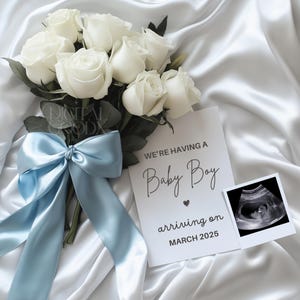 Annuncio di gravidanza minimalista per neonato Modello modificabile personalizzabile Modello digitale per annuncio di gravidanza Boho Blue sui social media