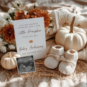 May include: A pregnancy announcement with a card, sonogram, and baby booties. The card says "Falling Leaves & Growing Love - Our Little Pumpkin Is On The Way" and "Baby Andersons Due October 202X". White pumpkins and autumn flowers are arranged around the announcement.