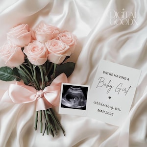 Baby Girl Minimalist Pregnancy Announcement Digital Baby Reveal Boho Rose Pink Editable Template Customizable Social Media Baby Announcement