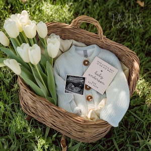 Baby Boy Minimalist Pregnancy Announcement Digital Reveal Boho Basket Editable Canva Template Custom Social Media Blue Gender Baby Post