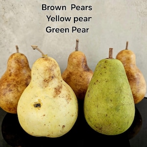Può includere: Quattro pere di diversi colori: marrone, giallo e verde. Le pere sono disposte su una superficie nera. Il testo "Brown Pears", "Yellow pear" e "Green Pear" è scritto sopra le pere.