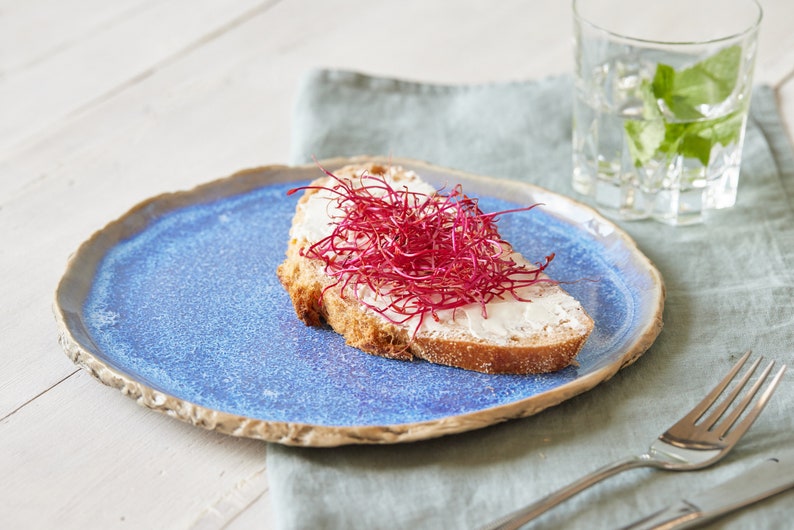 May include: A slice of toasted bread topped with white cream cheese and a mound of vibrant red beet sprouts, served on a round, textured blue ceramic plate with a rustic, uneven edge, accompanied by a silver fork and a glass of water.