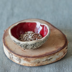 May include: A small, red and white ceramic bowl filled with sunflower seeds sits on a wooden coaster. The coaster has a natural birch bark finish.