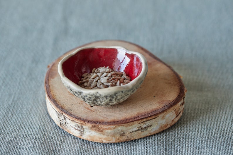 May include: A small, red and white ceramic bowl filled with sunflower seeds sits on a wooden coaster. The coaster has a natural birch bark finish.