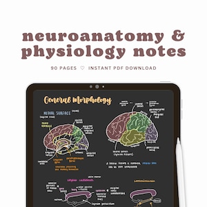 Apuntes de neuroanatomía y fisiología / Guía de estudio de neurología de alto rendimiento / Apuntes sobre el sistema nervioso / Descarga digital