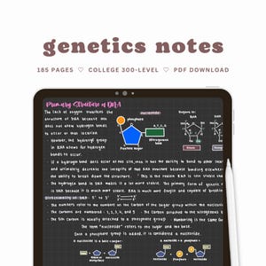 May include: A handwritten page of notes on the primary structure of DNA. The page includes a diagram of a nucleotide, a pentose sugar, a phosphate group, and a nitrogenous base. The page also includes a diagram of the sugars in RNA and DNA.