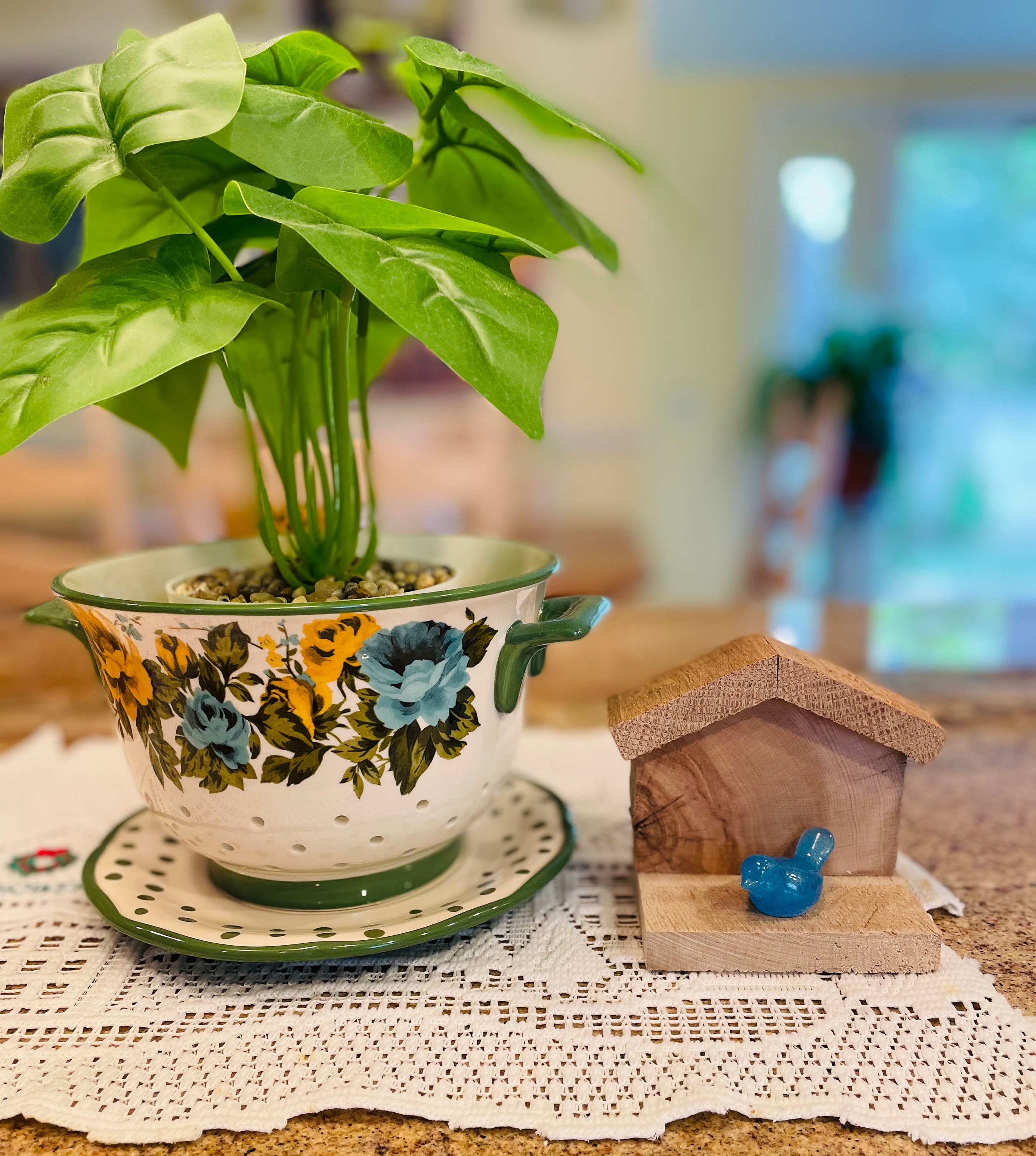Picture of Decorative Bird With House - Etsy