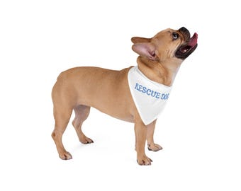 Rescue dog Pet Bandana