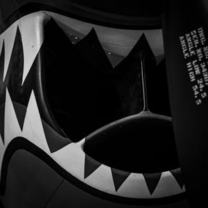May include: Black and white close-up of a fighter jet's intake with a shark tooth design. The text on the side reads "DWC NO. 3430/24.5  SER. NO. 1040  ANGLE LOW 24.5  ANGLE HIGH 54.5"