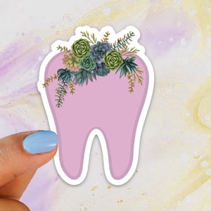 Tooth Succulent Sticker, Tooth Laptop Sticker, Water Bottle Sticker, Tooth Sticker, Tumbler Sticker, Dental Assistant Sticker, Dentist Gift