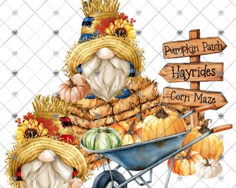 Fall Scarecrow Gnomes Sublimation Transfer, Ready to Press, Autumn, Sunflowers, Pumpkins, Gnome Sublimation Transfer, Harvest, Ready to Use