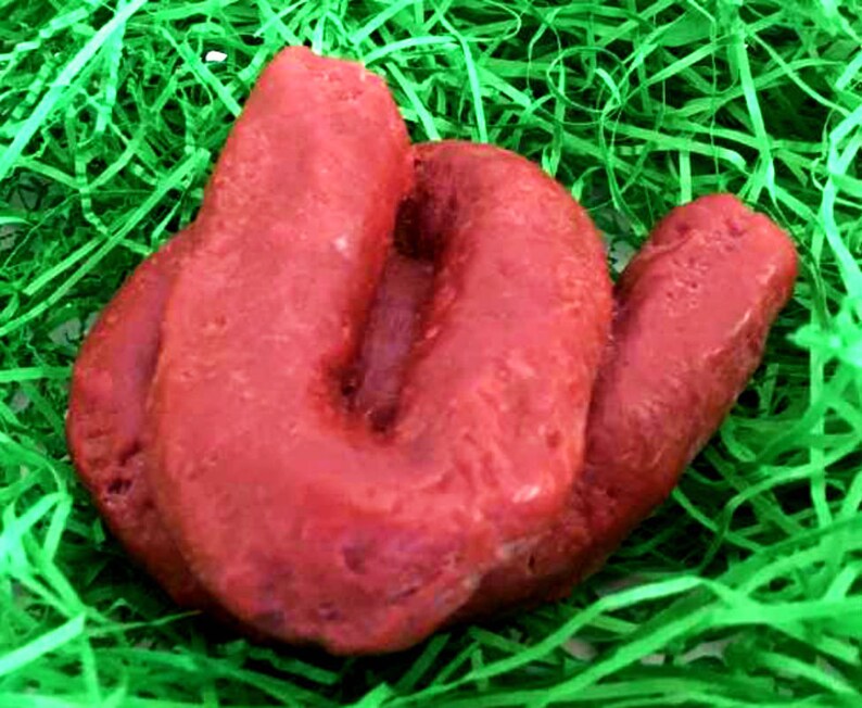 Poop Soap Gag Gift Prank Gift for Man White Elephant Etsy