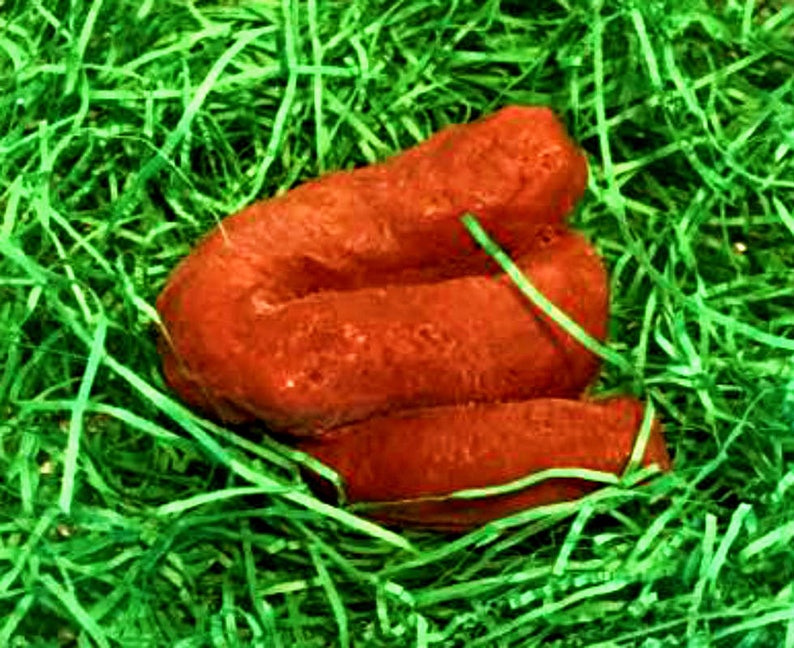 Poop Soap Gag Gift Prank Gift for Man White Elephant Etsy