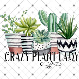 May include: A watercolor illustration of a collection of potted plants, including succulents, cacti, and aloe vera. The pots are decorated with black and white stripes, polka dots, and zigzags. The text "Crazy Plant Lady" is written below the pots.