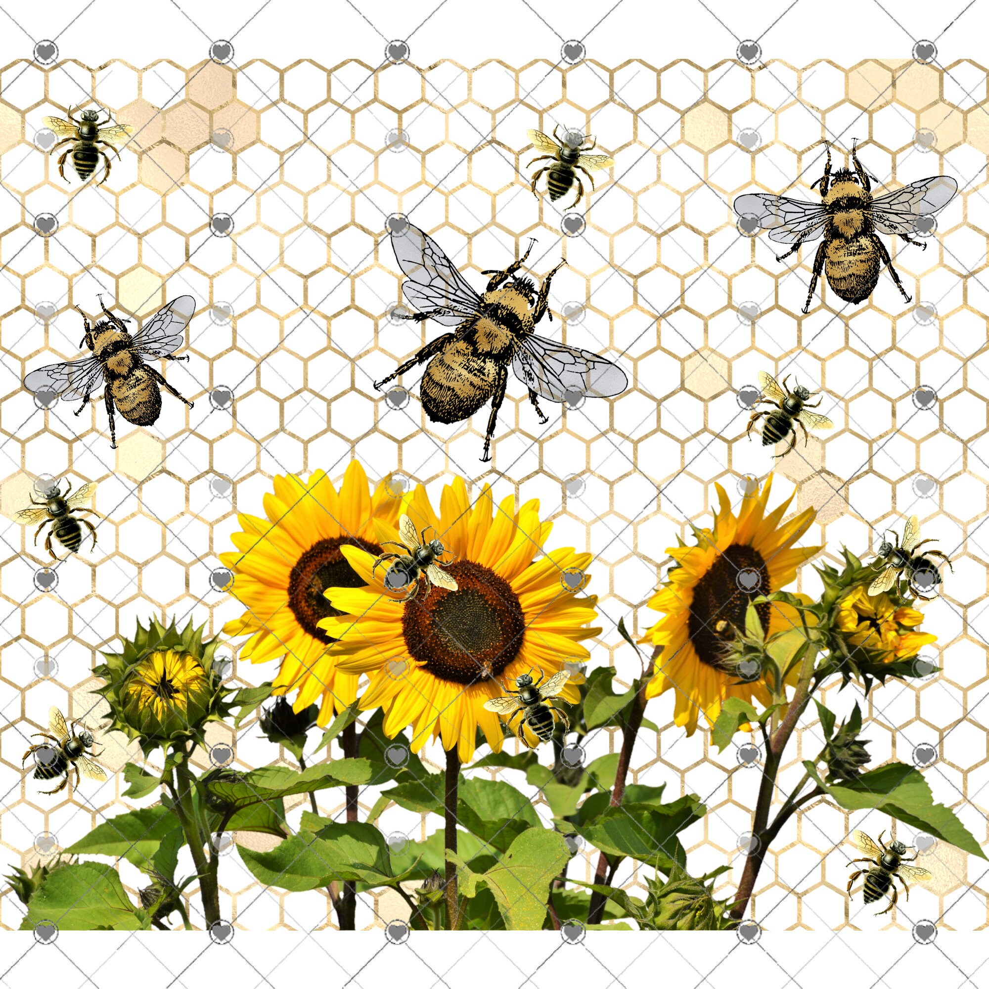 Sunflower Bees Tumbler Sublimation Transfer Ready to Press Etsy