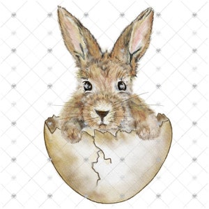Bunny Rabbit Egg Sublimation Transfer, Easter Sublimation, Bunny Sub Image, Easter Bunny, Rabbit, Ready to Use, Adult/Child Shirt Size