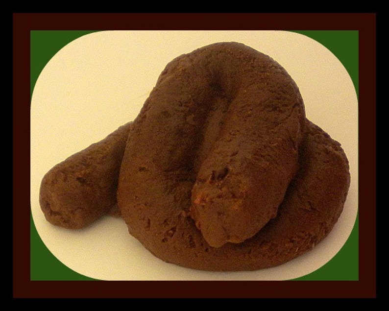 Poop Soap Gag Gift Prank Gift for Man White Elephant Etsy