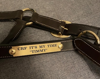 Brass Halter Plates with hardware!