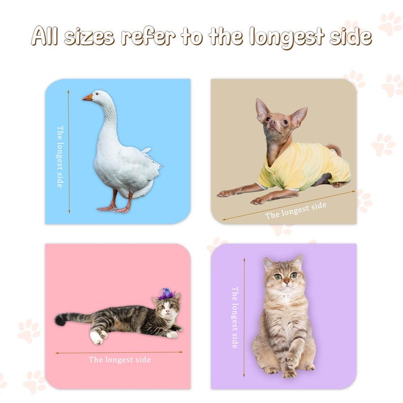 May include: Image showing four squares with animal illustrations. A white goose on a blue background, a dog in a yellow shirt on a tan background, a cat with a hat on a pink background, and a cat on a purple background. Text reads "All sizes refer to the longest side."